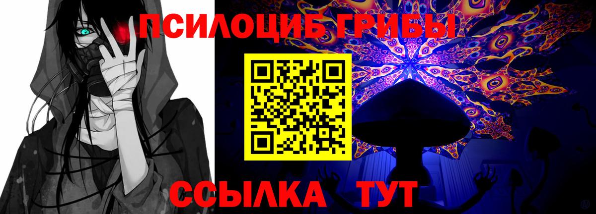 Асбест  Псилоцибиновые грибы Psilocybine cubensis  Вход с VPN 